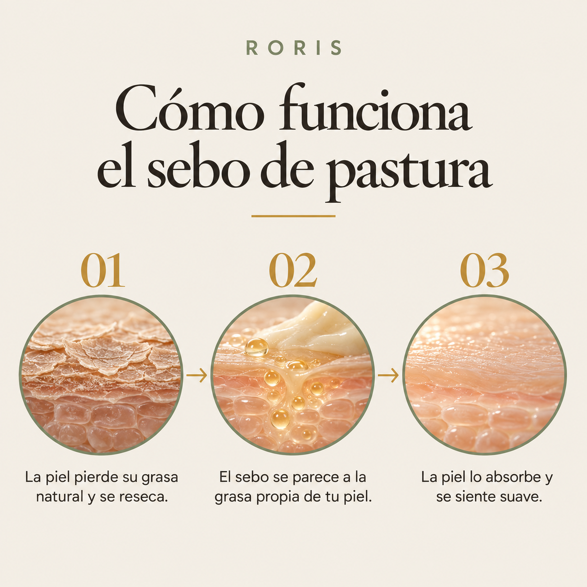 Cómo funciona el sebo de pastura en la piel, en tres pasos: la piel pierde su grasa natural, el sebo se parece a esa grasa y la piel lo absorbe.